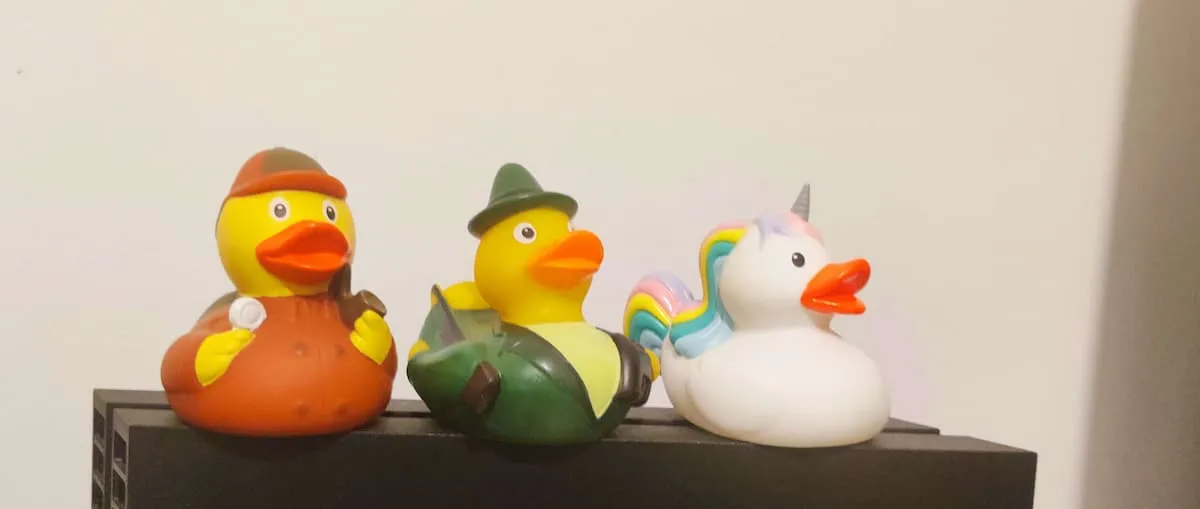 My trio of ducks